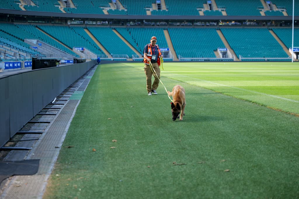 A handler walking a working dog on a lead along the edge of an empty stadium pitch.
